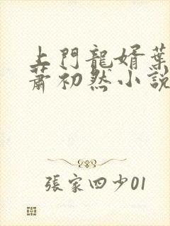 上门龙婿叶辰,萧初然小说