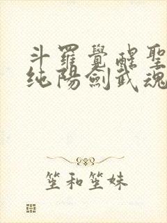 斗罗觉醒圣主和纯阳剑武魂