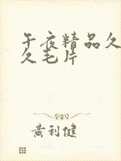 午夜精品久久久久毛片