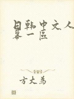日韩中文人妻字幕一区