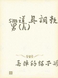 sm道具调教男男(h)