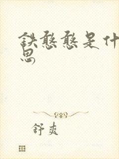 铁憨憨是什么意思
