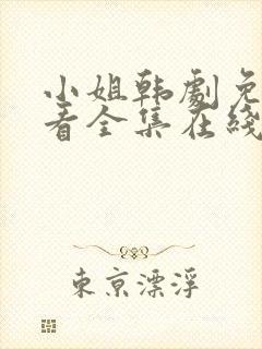 小姐韩剧免费观看全集在线高清