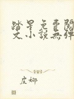 踏星免费阅读全文小说无弹窗