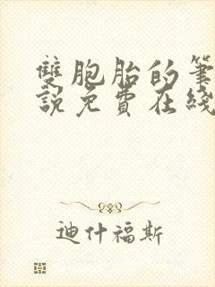 双胞胎的笔记小说免费在线阅读