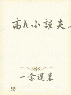 高h小说夫妻