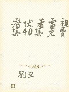 潜伏者电视剧全集40集免费观看潜伏