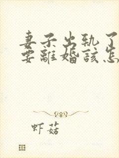 妻子出轨了老公要离婚该怎么挽回