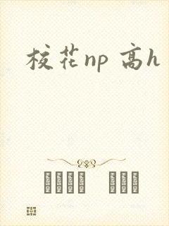 校花np 高h
