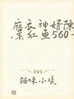 麻衣神婿陈黄皮,叶红鱼560章大结局