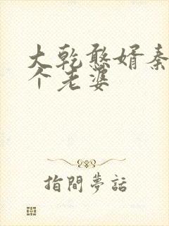 大乾憨婿秦墨几个老婆封面