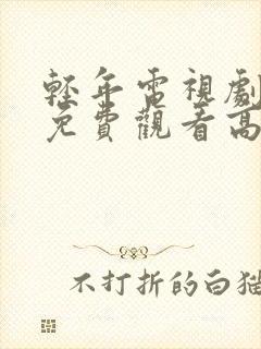 轻年电视剧全集免费观看高清版封面