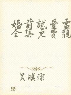 婚前试爱电视剧全集免费观看高清