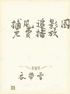 捕风追影国语版免费播放封面