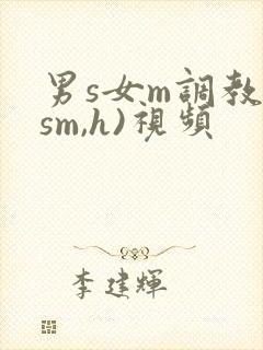 男s女m调教(sm,h)视频