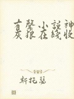 有声小说神墓大灰狼在线收听