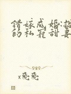 错嫁成婚:总裁的私宠甜妻