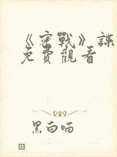 《密战》谍战片免费观看