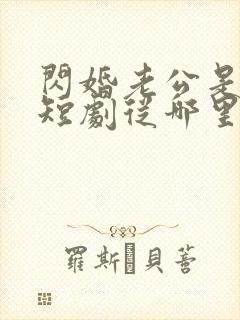 闪婚老公是总裁短剧从哪里看全片封面