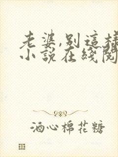 老婆,别这样 小说在线阅读