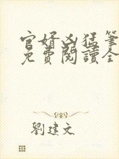 官婿凶猛笔趣阁免费阅读全文封面