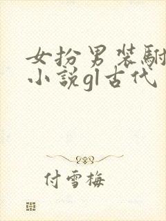 女扮男装驸马的小说gl古代