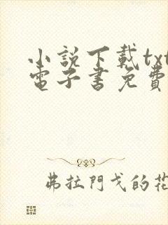 小说下载txt电子书免费下载网站封面