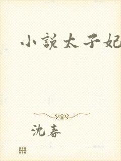 小说太子妃沈音