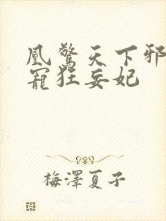 凰惊天下邪王盛宠狂妄妃