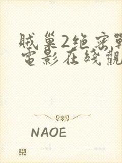 贼巢2绝密战境电影在线观看