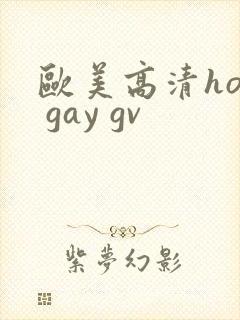 欧美高清hot gay gv