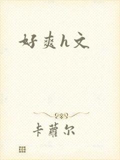 好爽h文