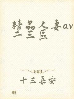 精品人妻av一二三区