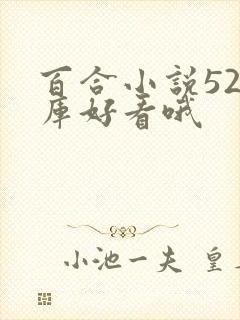百合小说52书库好看哦