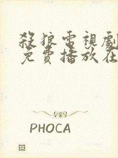 杀狼电视剧全集免费播放在线观看