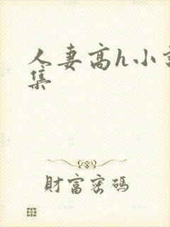 人妻高h小说合集
