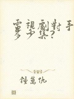 电视剧对手一共多少集?