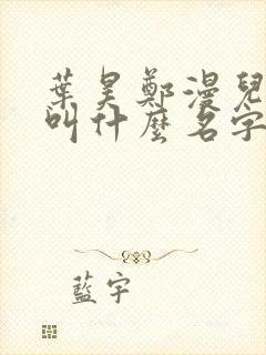 叶昊郑漫儿小说叫什么名字
