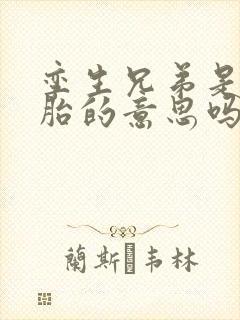 孪生兄弟是双胞胎的意思吗