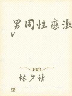 男同性恋激情av