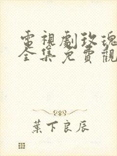 电视剧玫瑰之战全集免费观看