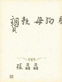 调教 母狗 骚货封面