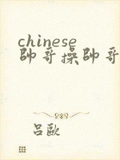 chinese帅哥操帅哥网站