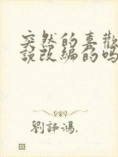 突然的喜欢是小说改编的吗封面