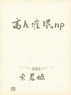 高h催眠np