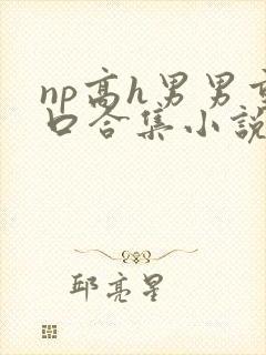 np高h男男重口合集小说封面
