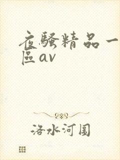 夜骚精品一区二区av