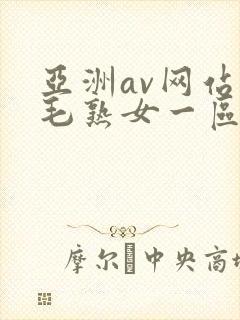 亚洲av网站浓毛熟女一区
