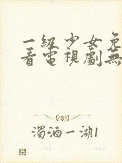 一级少女免费观看电视剧无字幕观看