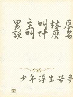 男主叫林辰的小说叫什么名字